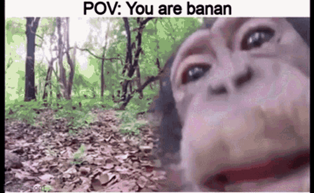 banan