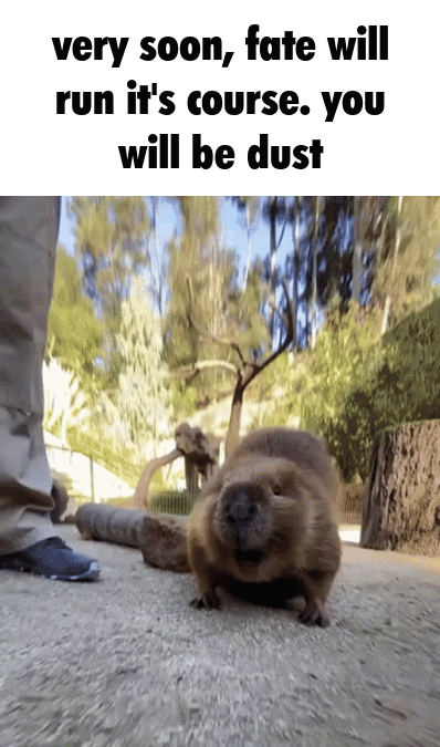 dust