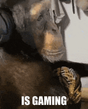 monke