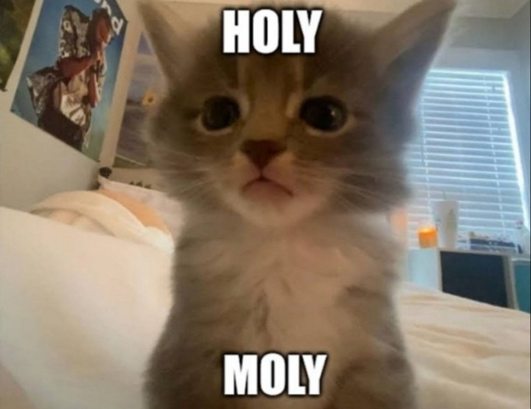 holymoly